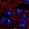 Anti-ACTR10 Antibody