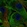 Anti-LSP1 Antibody