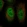 Anti-TRIM49D1 Antibody