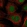 Anti-NEUROG1 Antibody