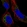 Anti-PMEPA1 Antibody