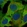 Anti-MAPK9 Antibody