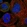 Anti-SDCCAG8 Antibody