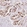 Anti-ANLN Antibody