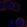 Anti-GP5 Antibody