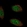 Anti-TMEM267 Antibody