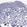 Anti-HLA-DQB2 Antibody