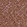 Anti-NDUFB10 Antibody