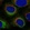 Anti-TEX264 Antibody