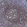 Anti-IKZF3 Antibody