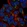 Anti-PHKB Antibody