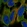 Anti-LHCGR Antibody