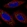 Anti-MFSD14A Antibody