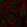 Anti-LMX1B Antibody