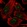 Anti-DHX33 Antibody