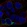 Anti-CLN6 Antibody