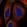 Anti-TMEM136 Antibody
