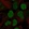 Anti-BRD2 Antibody