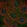 Anti-NWD1 Antibody