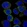 Anti-SIGLEC7 Antibody