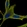 Anti-RAMP3 Antibody