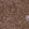 Anti-QPRT Antibody