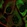 Anti-DOHH Antibody