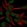 Anti-ZNF154 Antibody