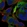 Anti-ERRFI1 Antibody