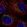 Anti-LANCL3 Antibody