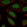 Anti-ZBTB6 Antibody