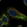 Anti-RPL10A Antibody