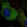 Anti-GPAA1 Antibody