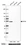 Anti-KRT80 Antibody