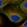 Anti-STRA8 Antibody
