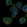 Anti-CCDC168 Antibody