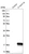 Anti-C14orf119 Antibody