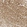 Anti-ADAM17 Antibody
