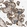 Anti-ADAM17 Antibody