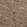 Anti-ATP5I Antibody