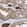 Anti-PLEKHM3 Antibody