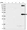 Anti-TRMT2B Antibody
