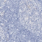 Immunohistochemical staining of human lymph node shows low expression as expected.