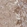 Anti-LRPPRC Antibody