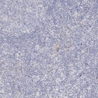 Immunohistochemical staining of human lymph node shows low expression as expected.