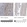 Anti-DDX21 Antibody