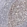 Anti-DDX21 Antibody