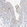 Anti-PPIL6 Antibody