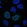 Anti-GCNT4 Antibody