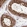 Anti-KIF5B Antibody